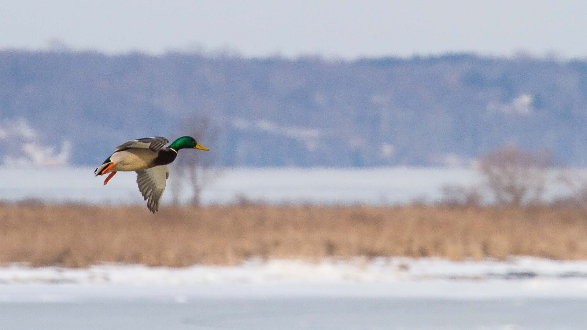 Take a Virtual Tour Hamptons Landing Marina